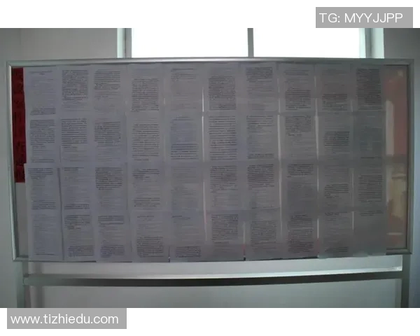 张帆的奋斗历程与成长故事：从平凡到卓越的启示与反思