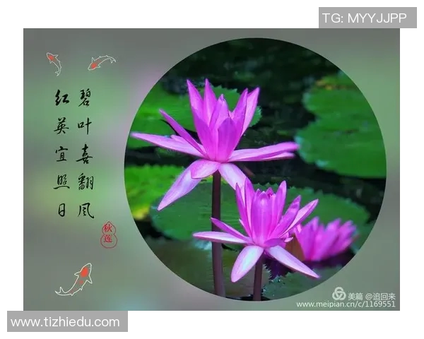 张泽伟的成长之路：从平凡少年到杰出人才的奋斗历程与启示