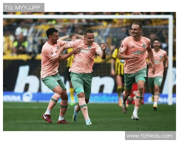 菜万特对阵马洛卡精彩比分揭晓赛季精彩瞬间回顾与分析