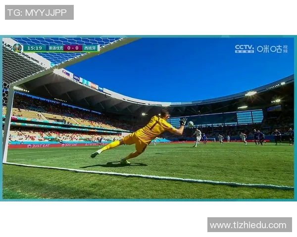 葡萄牙与西班牙激战正酣网易直播精彩瞬间回顾与分析